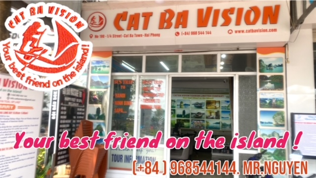 CAT BA VISION HEAD OFFICE